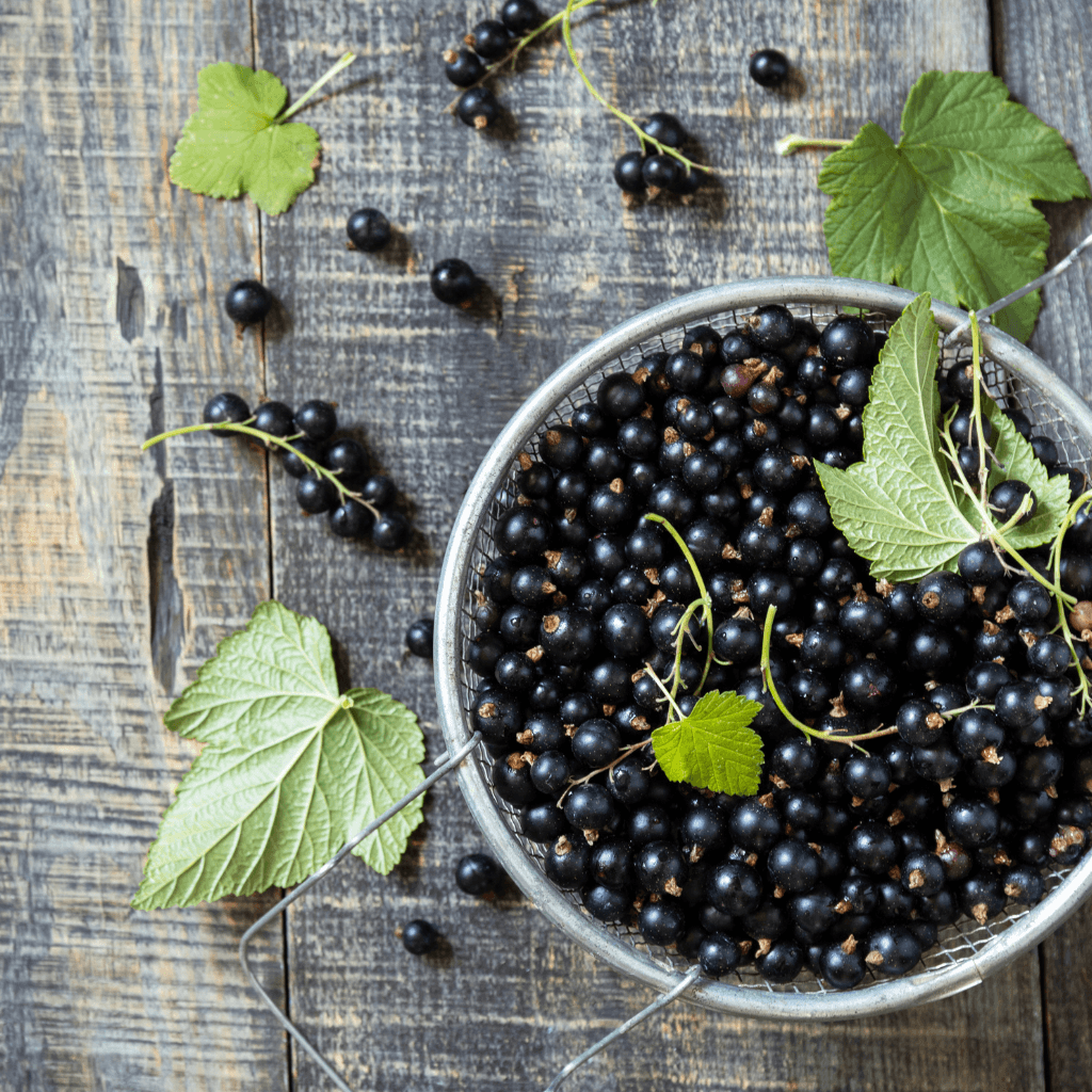 The Mighty Vitamin C: Unravelling the Power of an Essential Nutrient