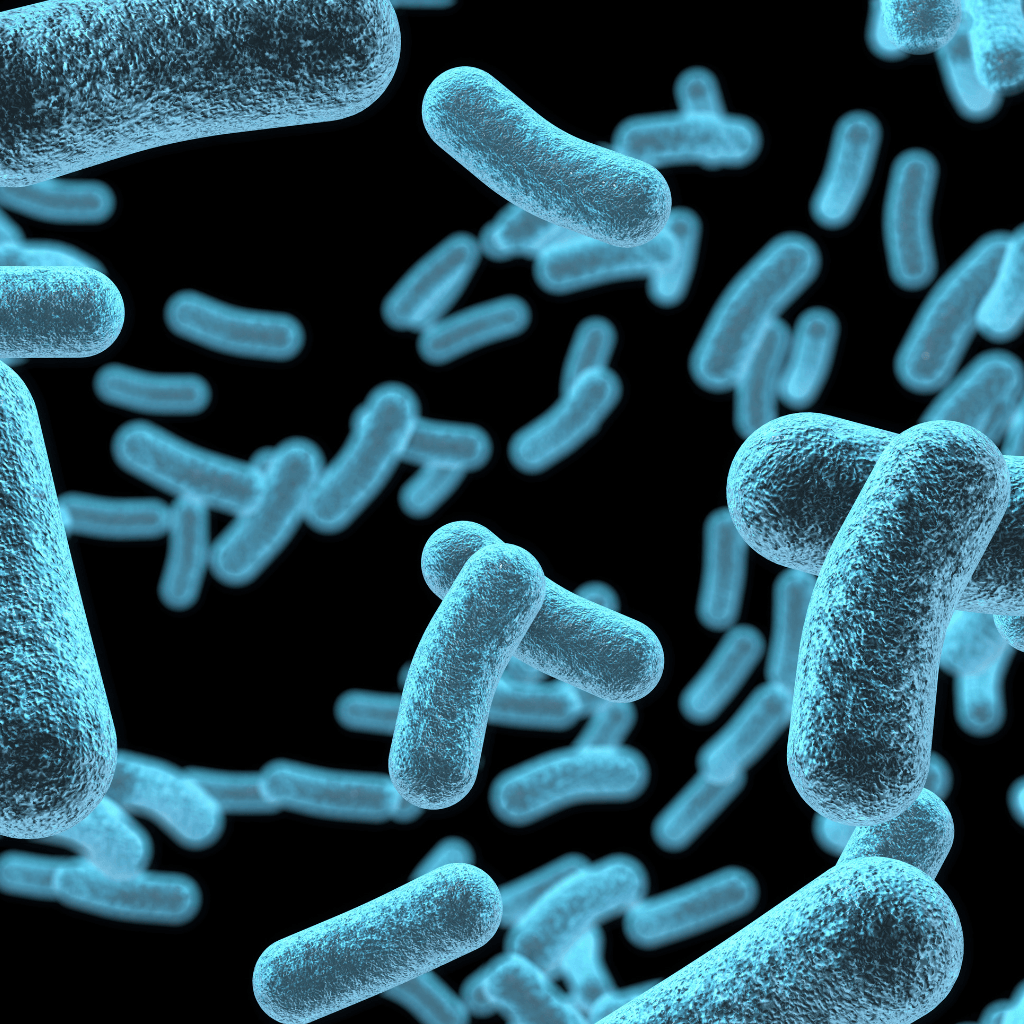The Importance of Live Bacteria