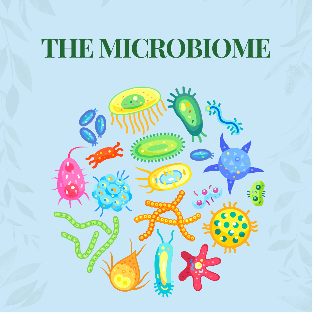 best probiotics for the microbiome