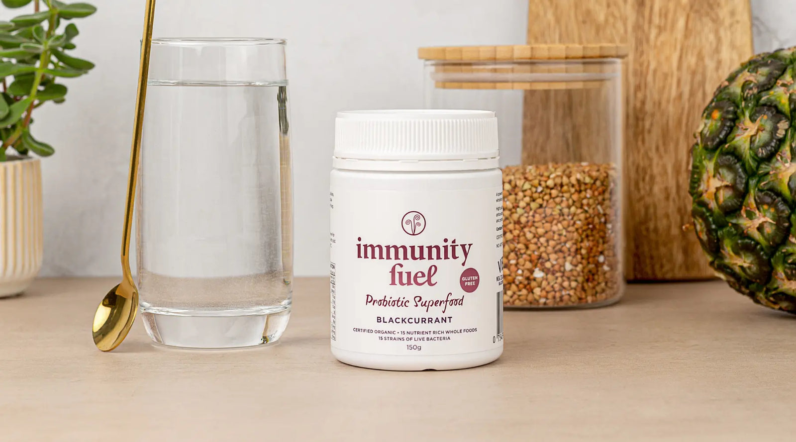 immunity fuel blackcurrant probiotic superfood for immune system health