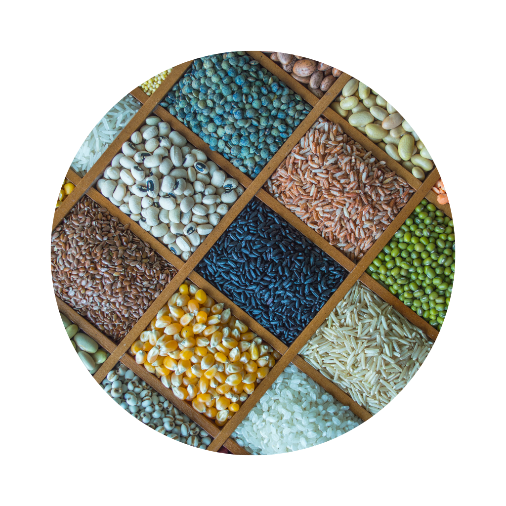 immunity fuel organic whole foods